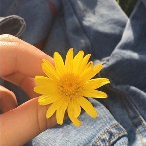 Meet your Posher, Kynleigh